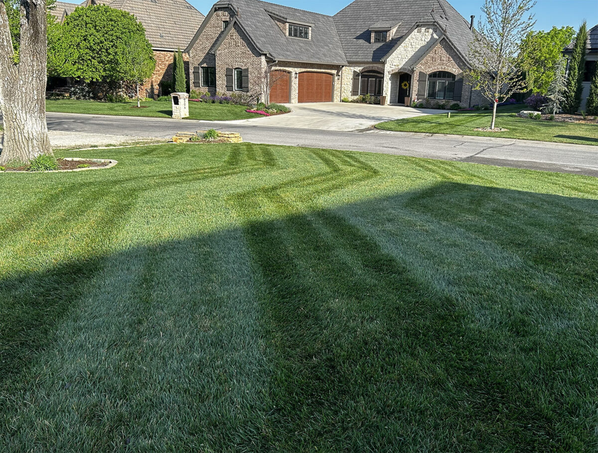Best Landscaper Wichita