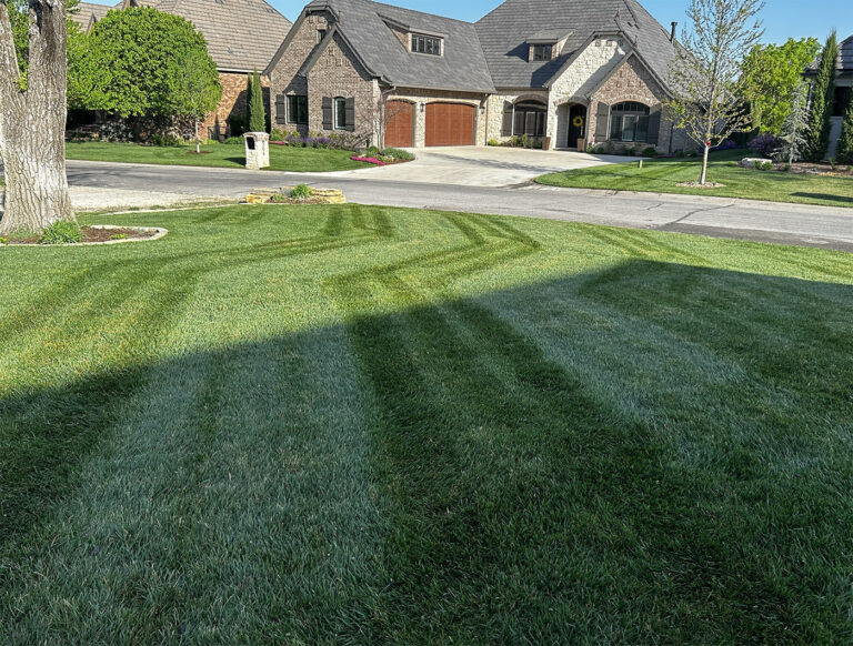 Best Landscaper Wichita