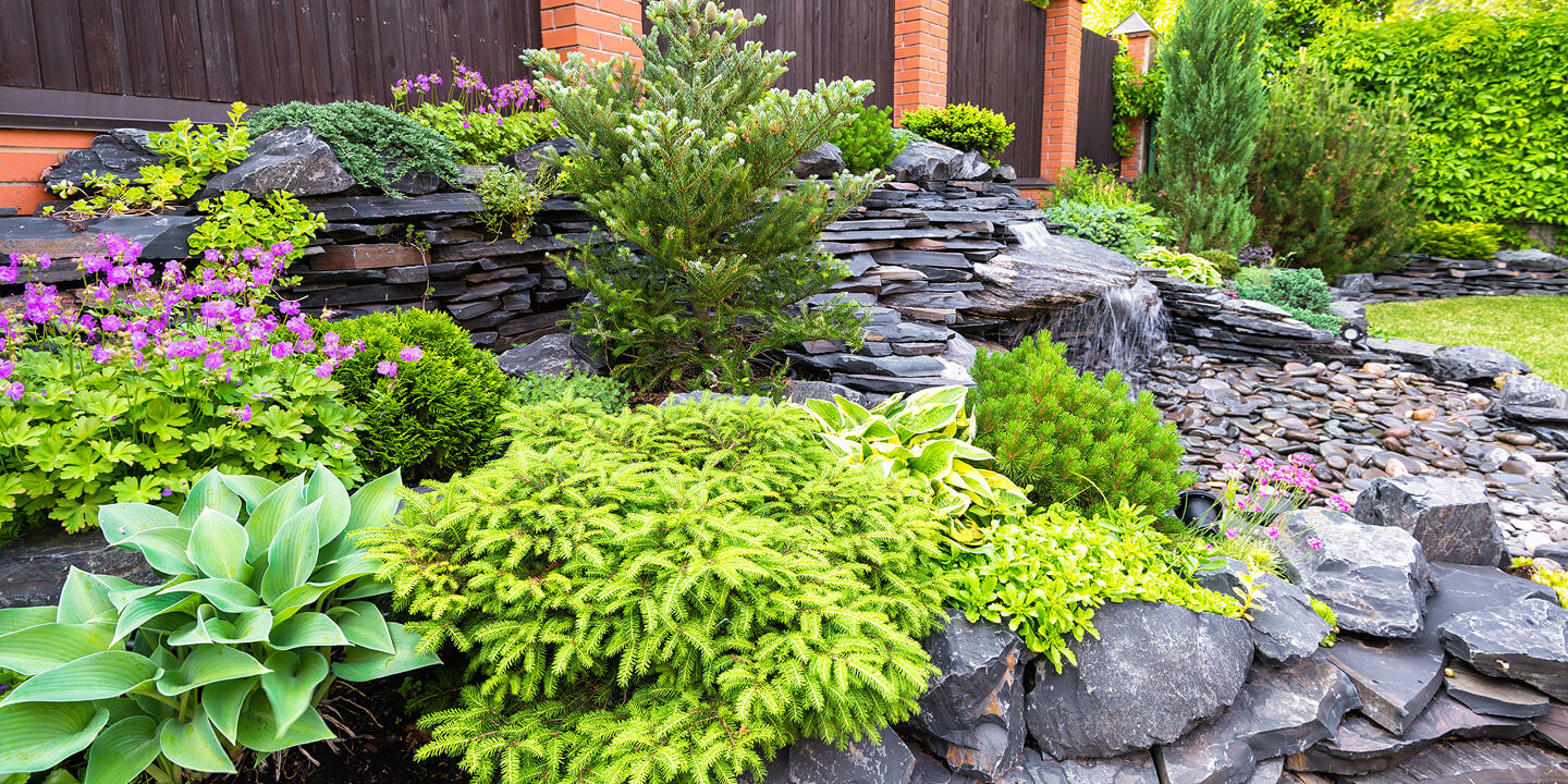 A beautiful garden of colorful landscaping plants.