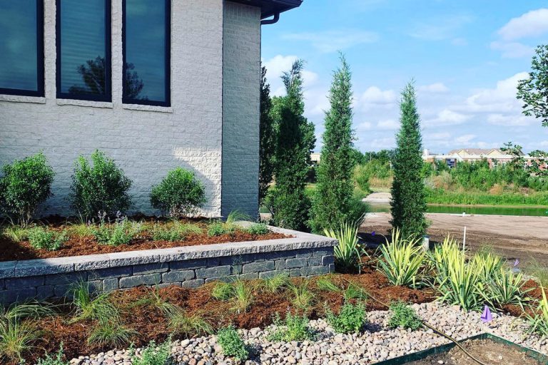 Evergreen trees and native grasses in a home's garden bed.
