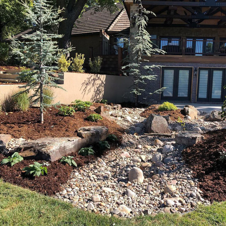 A rustic home with a evergreen trees.