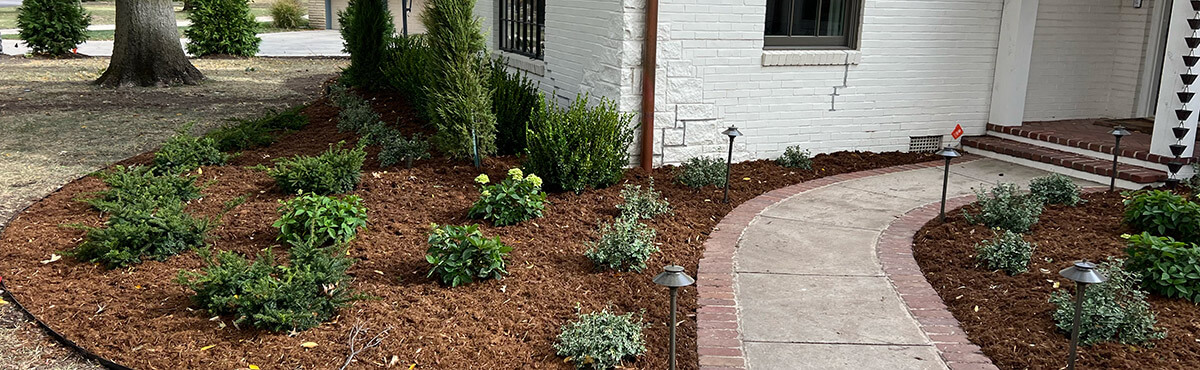 An entry walkway with mulch, plant and lighting landscaping.