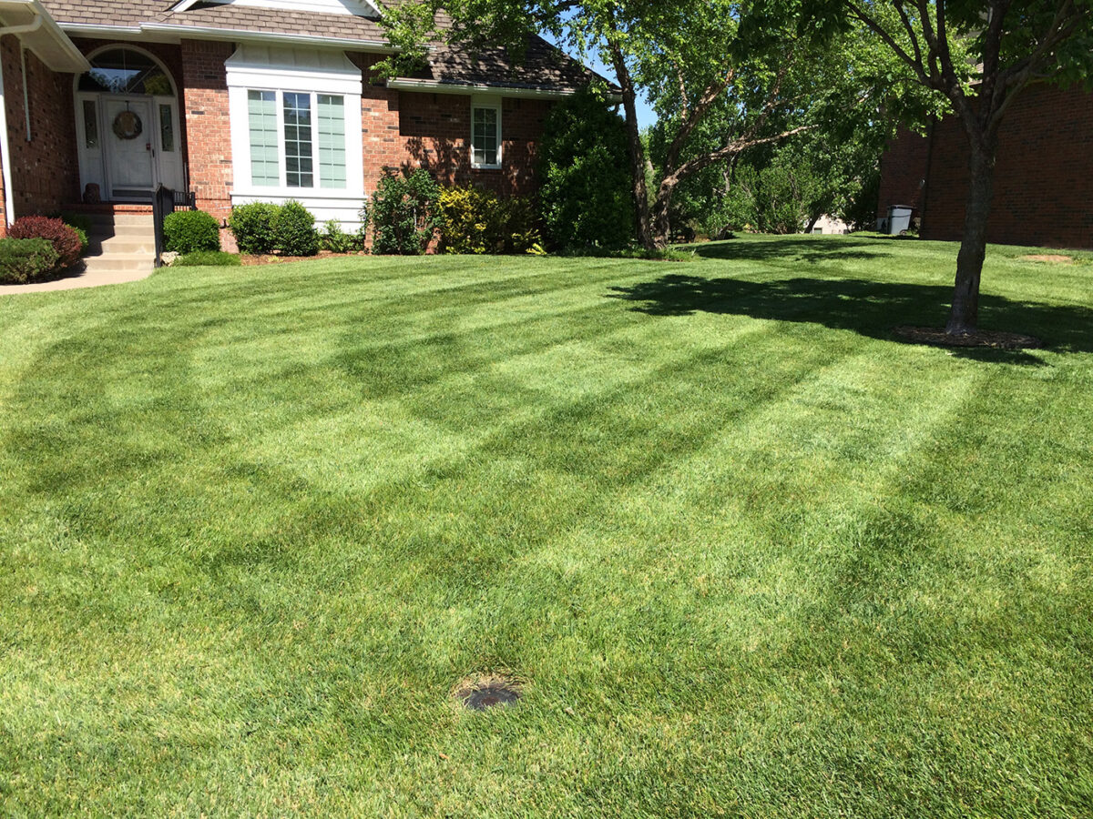 Home Landscaping Plans