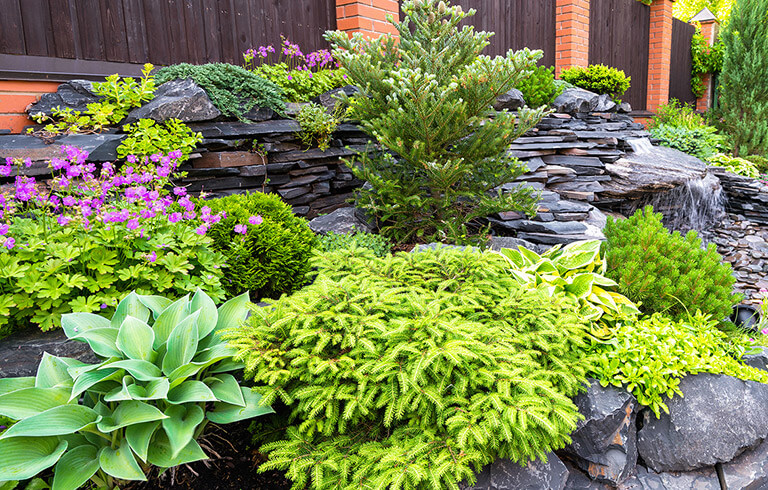 A beautiful garden of colorful landscaping plants.