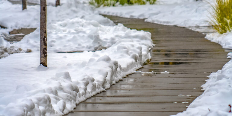 Landscape Snow Protection