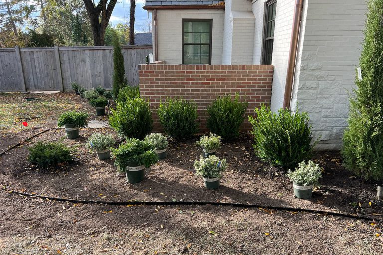 Landscaping plants placed temporarily as design is finalized.