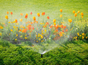 Landscaping Sprinkler Systems