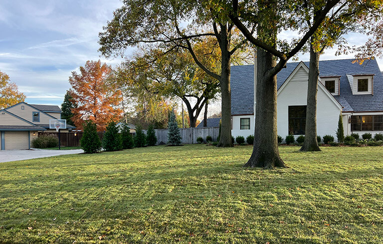 A newly mowed front lawn.