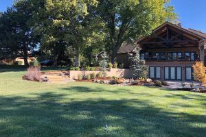 A newly installed lawn in a landscaped backyard.