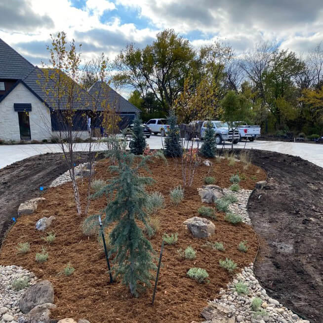 Newly planted trees in a garden bed.