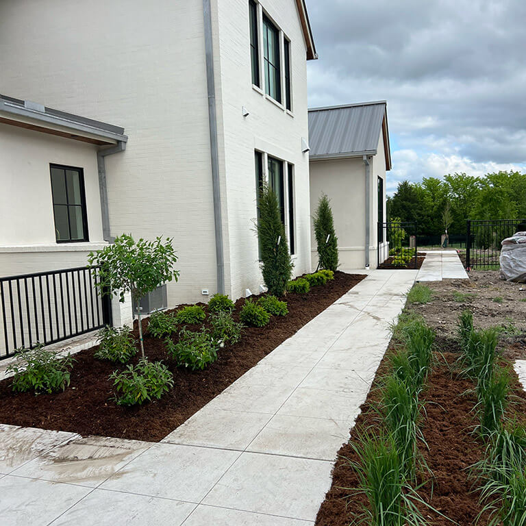 Modern landscape design with plants and dark mulch.