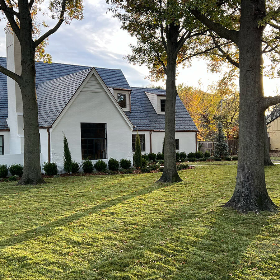 A white brick home with very mature trees.