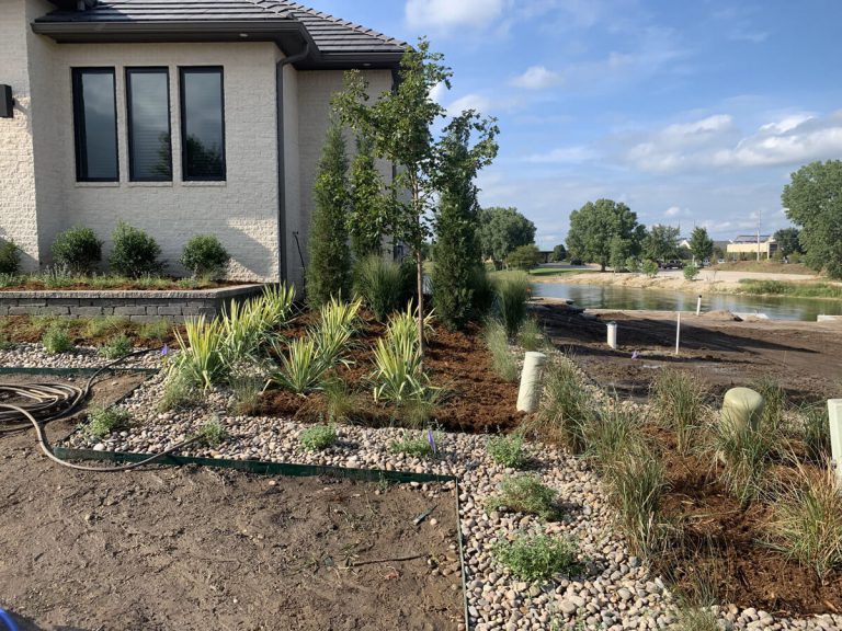 Evergreen trees and native grasses in a home's rock garden bed.