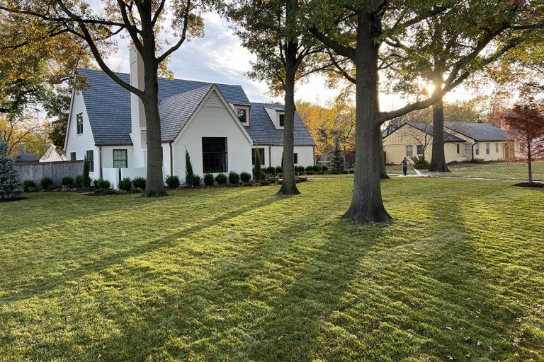 An expansive front lawn with fresh sod.