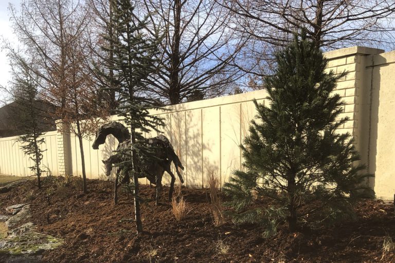 Close up of mulch garden with trees and bushes. There is also a horse statue.