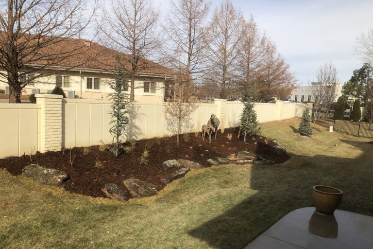 A mulch garden with trees and bushes.
