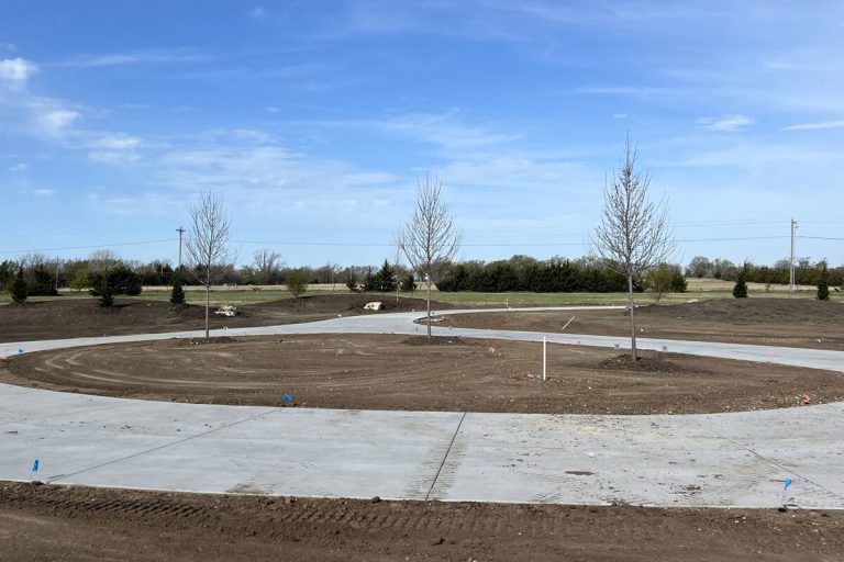 Three newly planted trees.