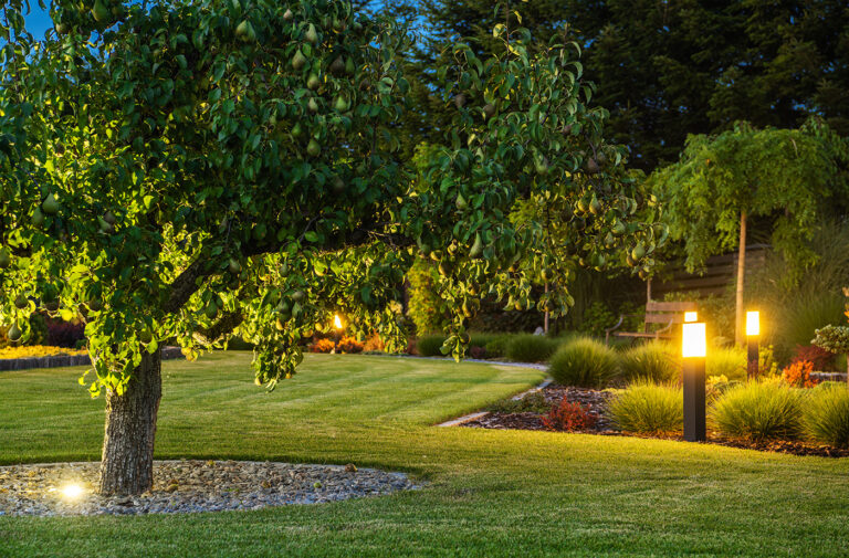 Wichita Outdoor Lighting Business
