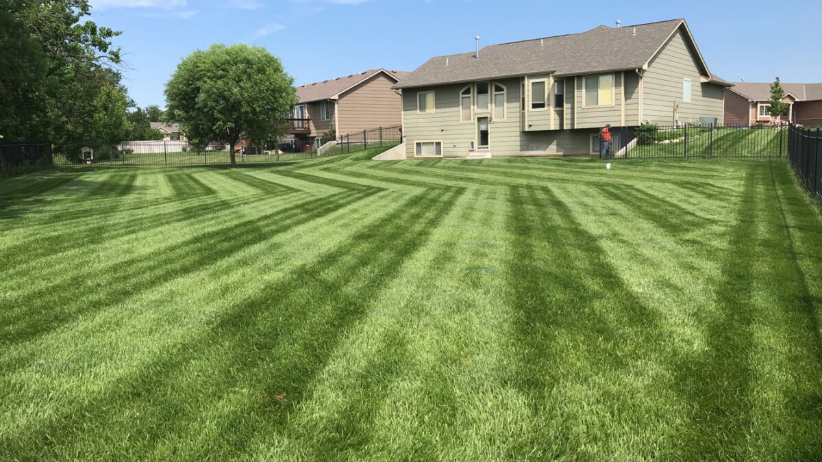 Wichita Professional Landscaper